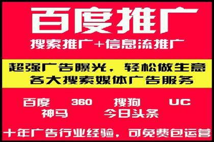 专业SEM托管如何助力电商行业增长？——案例分析
